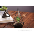 Helder geometrisch glazen terrarium lantaarn tafelblad